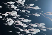 8 Cara Mengentalkan Sperma Buat Meningkat Kesuburan Pria.