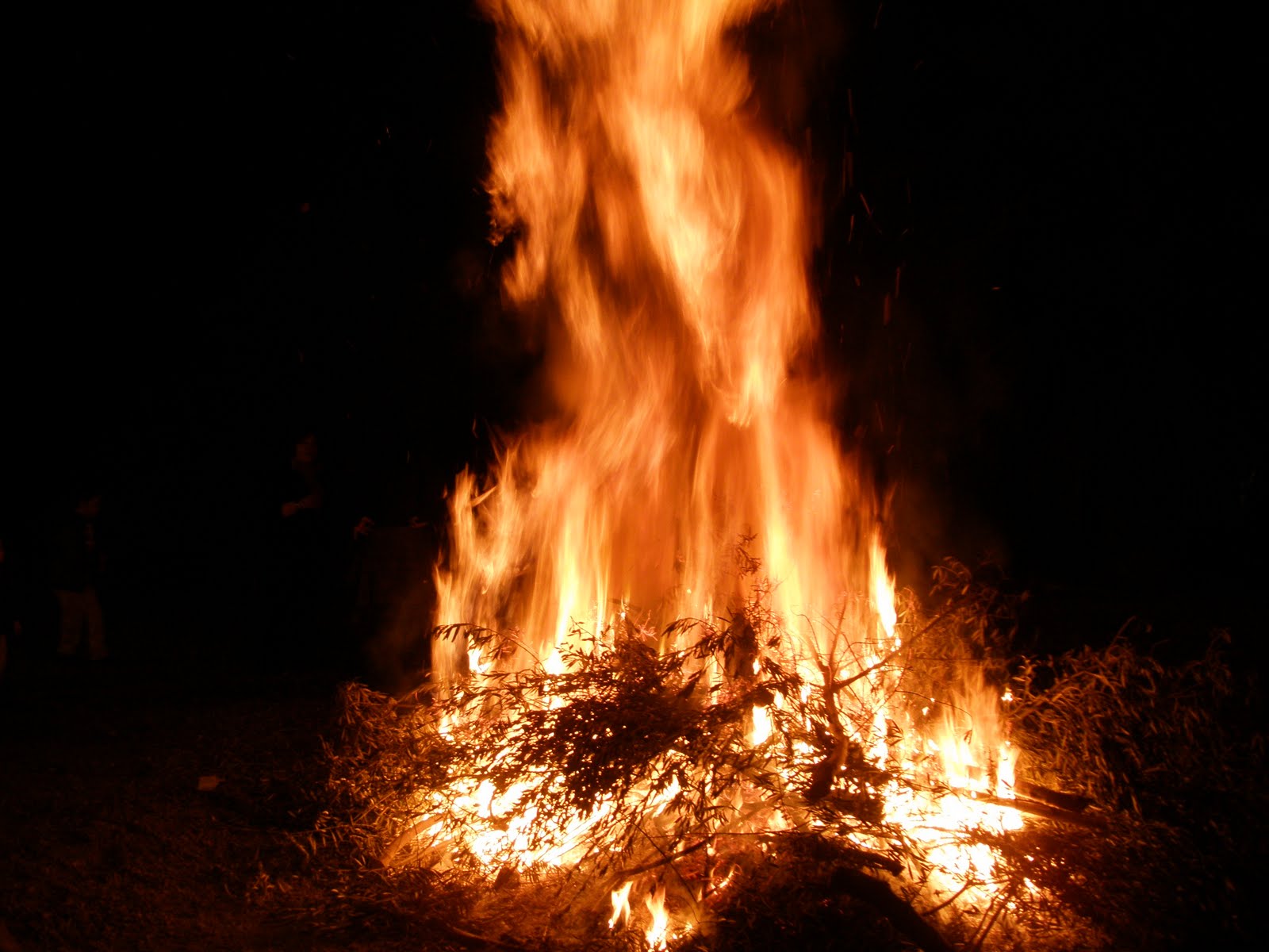 Cita con la historia y otras narraciones Noche de la Candelaria