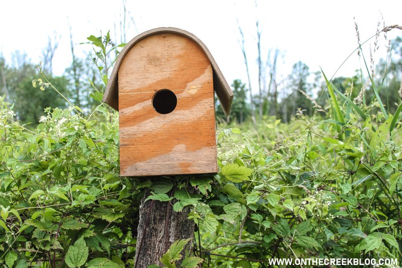 Wood bird house | Thrifting Finds! | On The Creek Blog