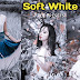 Lightroom Presest Soft White | free lightroom presets for portraits |  free lightroom preset 2021