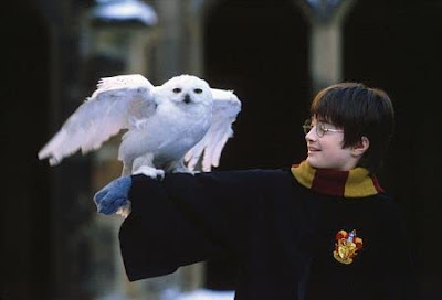 Harry Potter And The Sorcerers Stone Movie Image 12