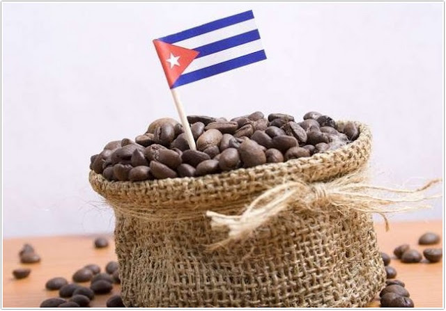 Cuban Coffee Beans