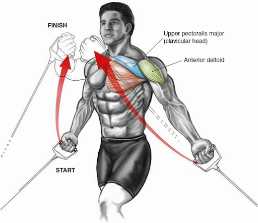 Barz Club Street Workout: Os Melhores Exercícios para Peitoral Gigante