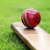 मधेपुरा के पुरैनी में अन्तर्राज्यीय क्रिकेट महाकुंभ की तैयारी पूरी