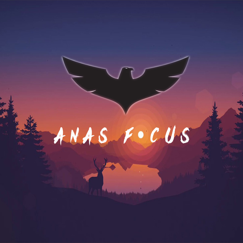 Anas Focus