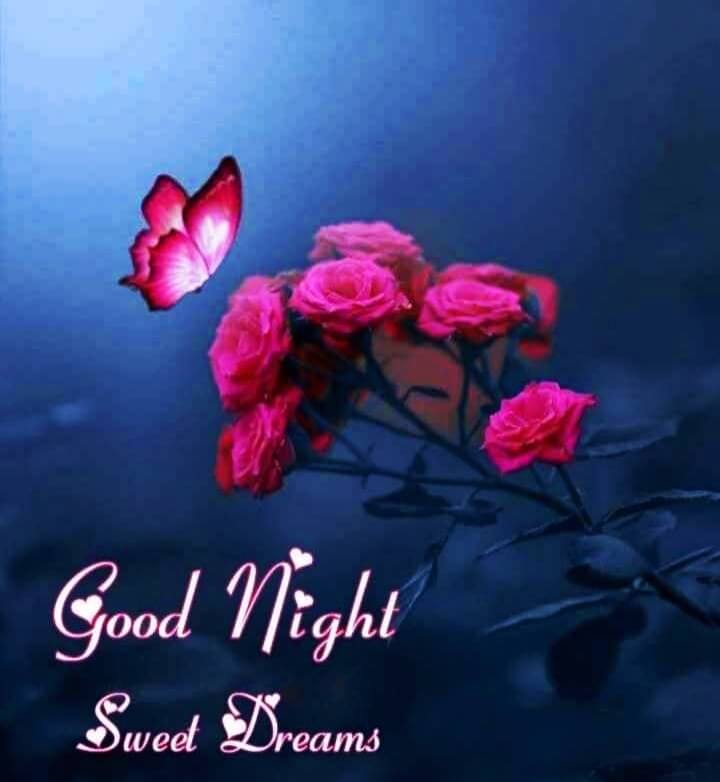 Latest Good Night Images Download For Whatsapp || Latest Good Night ...
