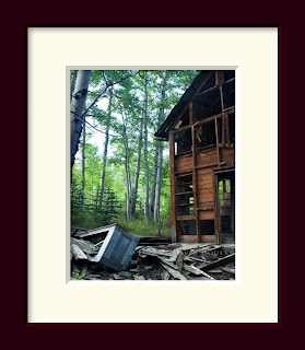 There is a stark contrast between an abandoned mountain cabin in ruins and the green aspen forest that surrounds it.