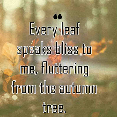 Quotes about Leaf