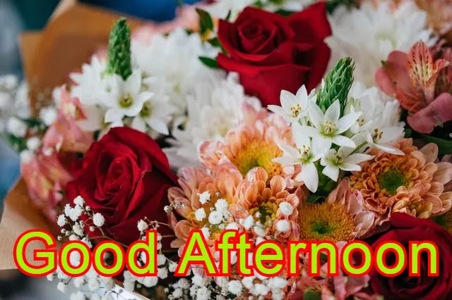 Good Afternoon HD Images Collection Download Good Afternoon HD Images Collection Download