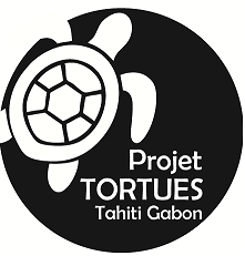 TORTUES TAHITI GABON
