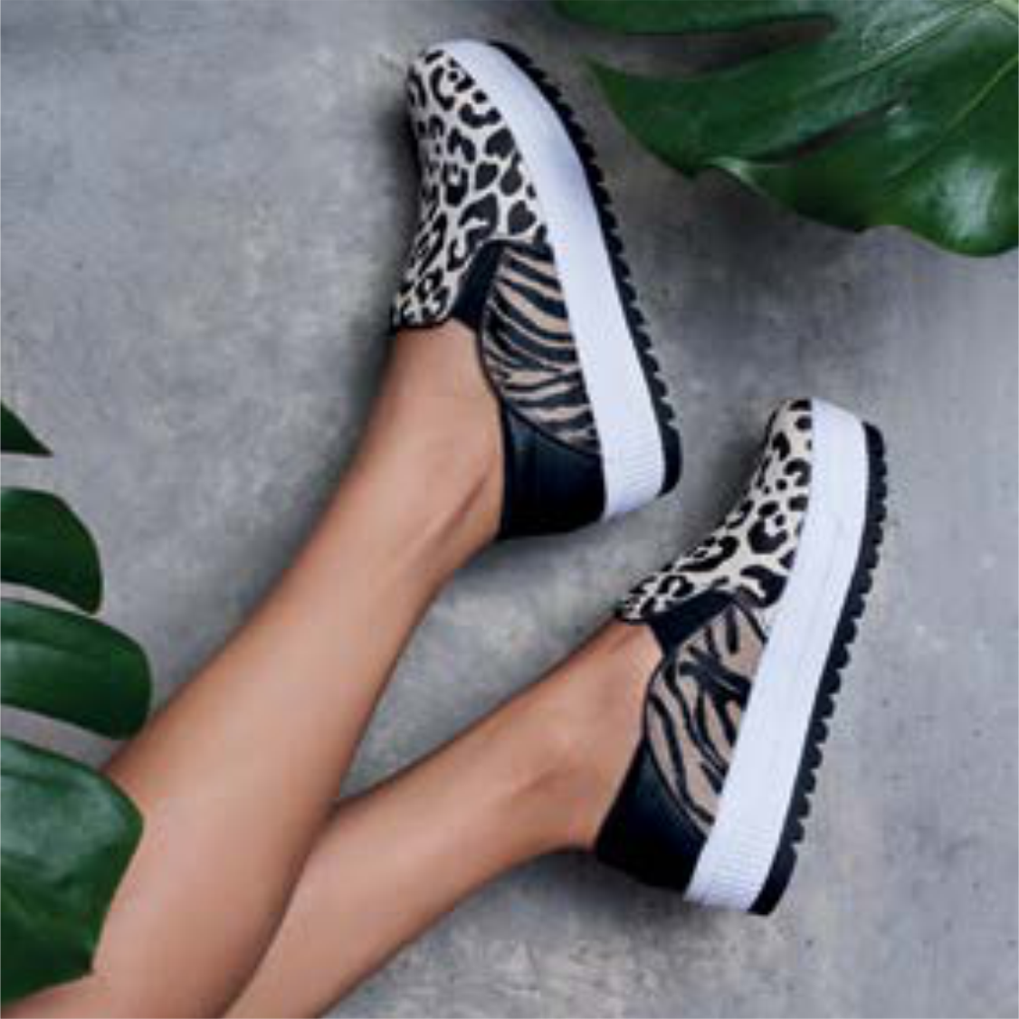 dakota calçados 2020