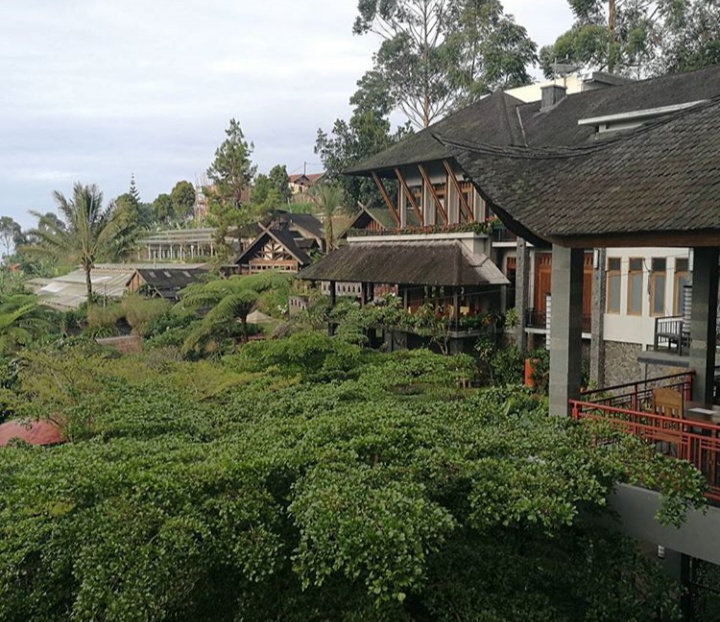 Dowes29.com: Gambar, Lokasi, Tiket Masuk Rumah Stroberi ...