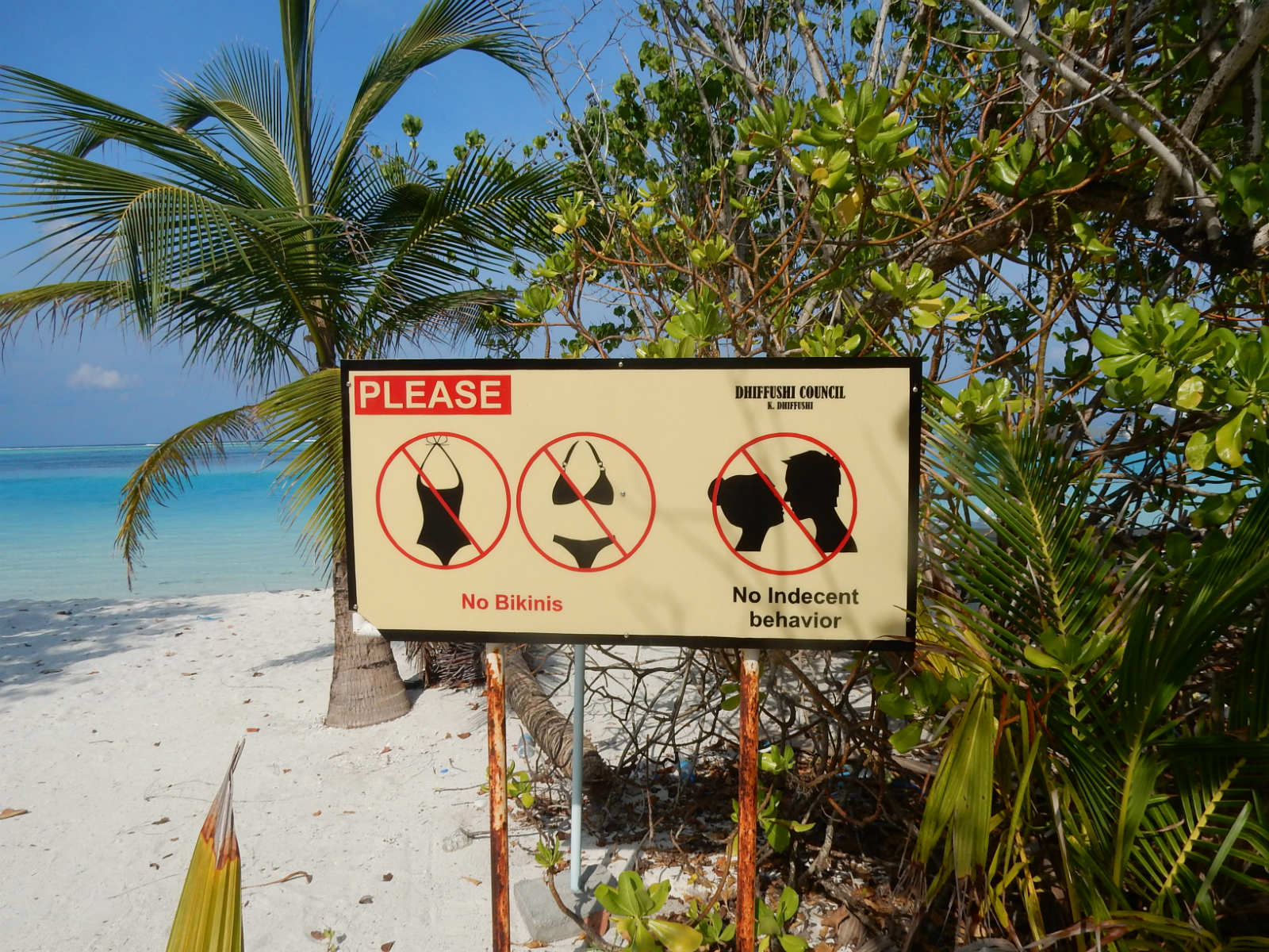 Maldivas no estilo econômico - vale a pena se hospedar numa ilha local? - Renata Viaja...