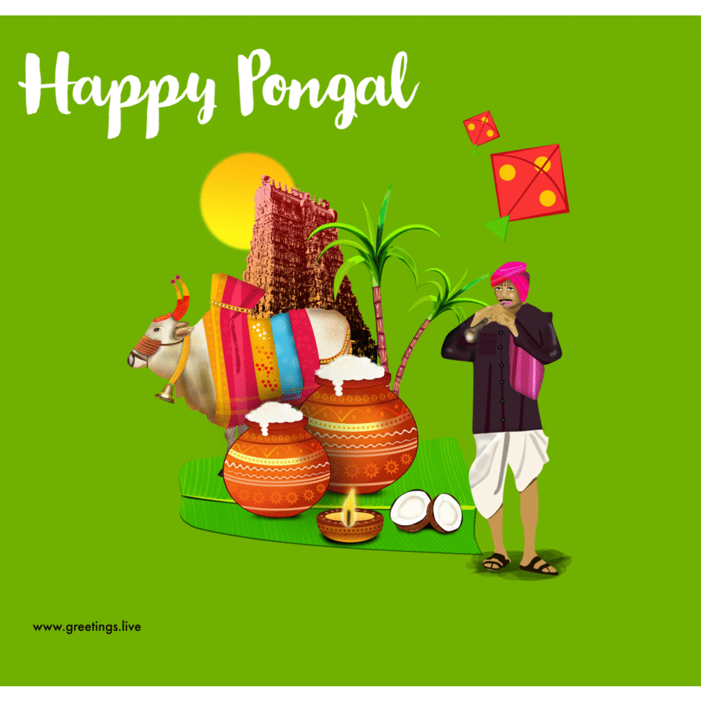 *Free Daily Greetings Pictures Festival GIF Images: Pongal gif  animated images Indian Festival Gifs