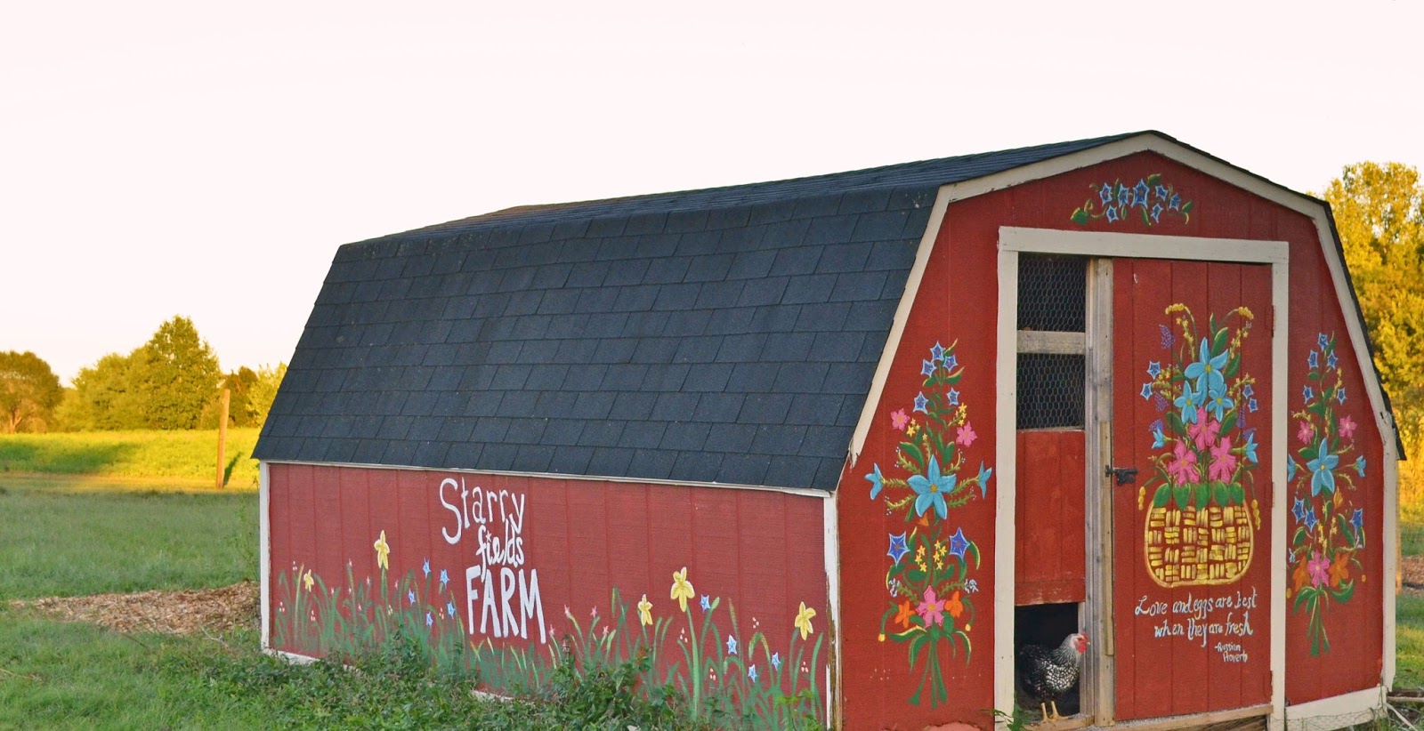 Sew Homegrown: Painted Coop - Chickencoop3