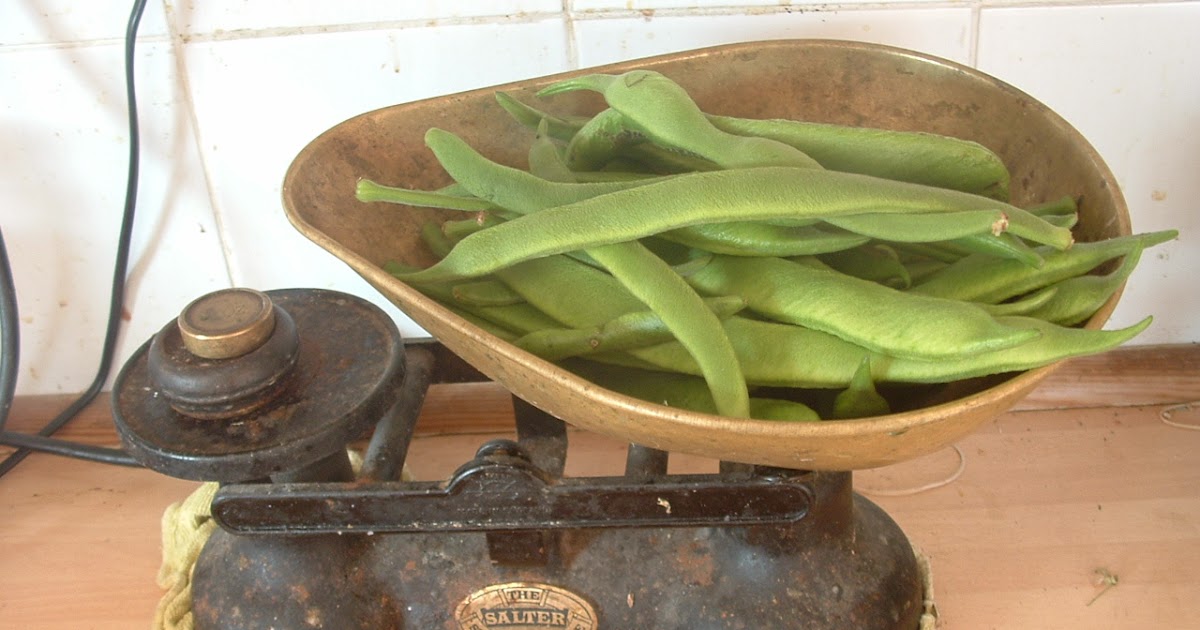 Galadriel's Garden Eating and preserving runner beans