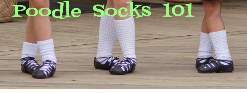 Poodle Socks 101