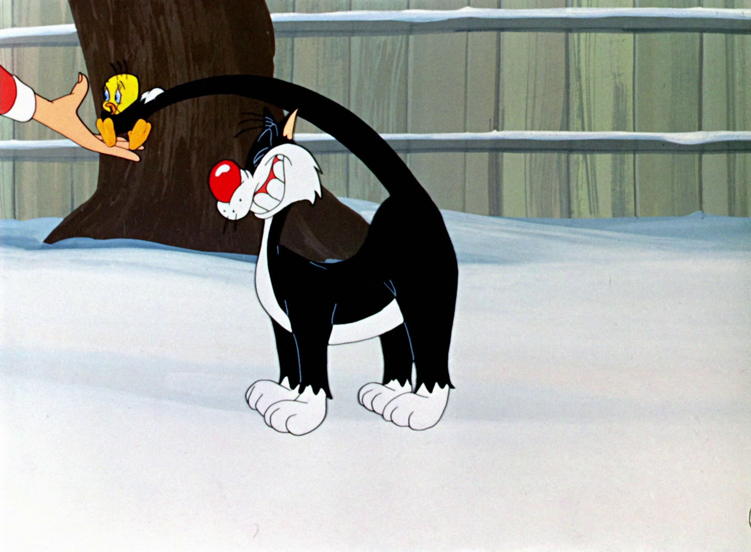 Tweety pie wallpapers sweet wallpapercave wallpaper Looney Tunes Pictures: "Tweetie Pie"