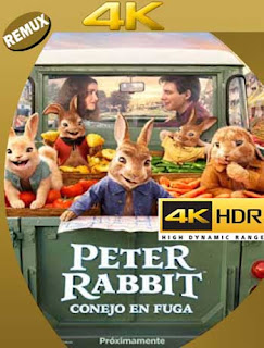 Peter Rabbit 2: Conejo en Fuga (2021) 4K REMUX 2160p UHD [HDR] Latino [GoogleDrive]