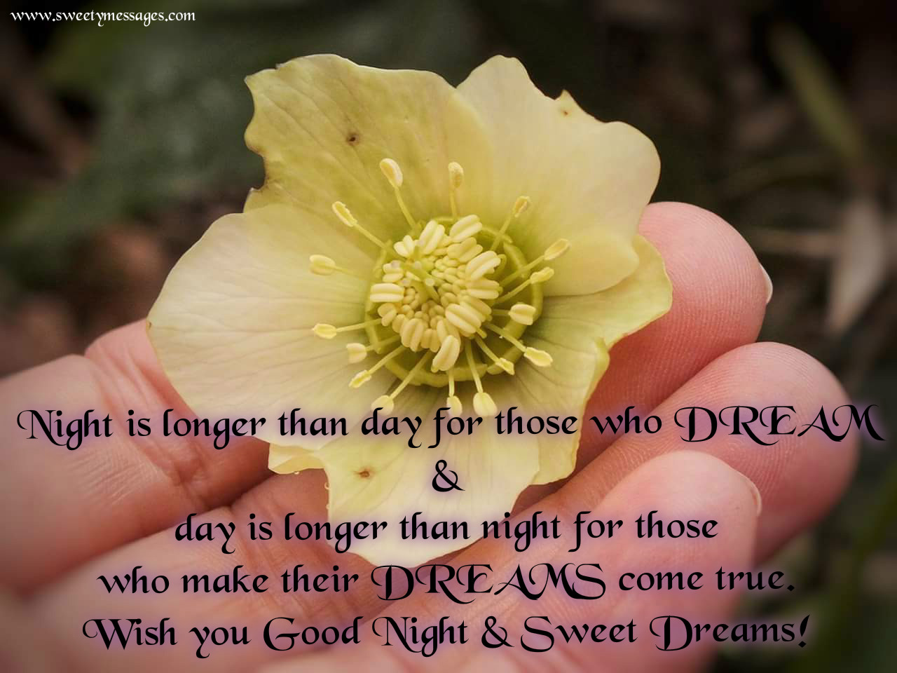 Night is longer than day for those who DREAM & day is longer than night for those who make their DREAMS e true Wish you Good Night & Sweet Dreams