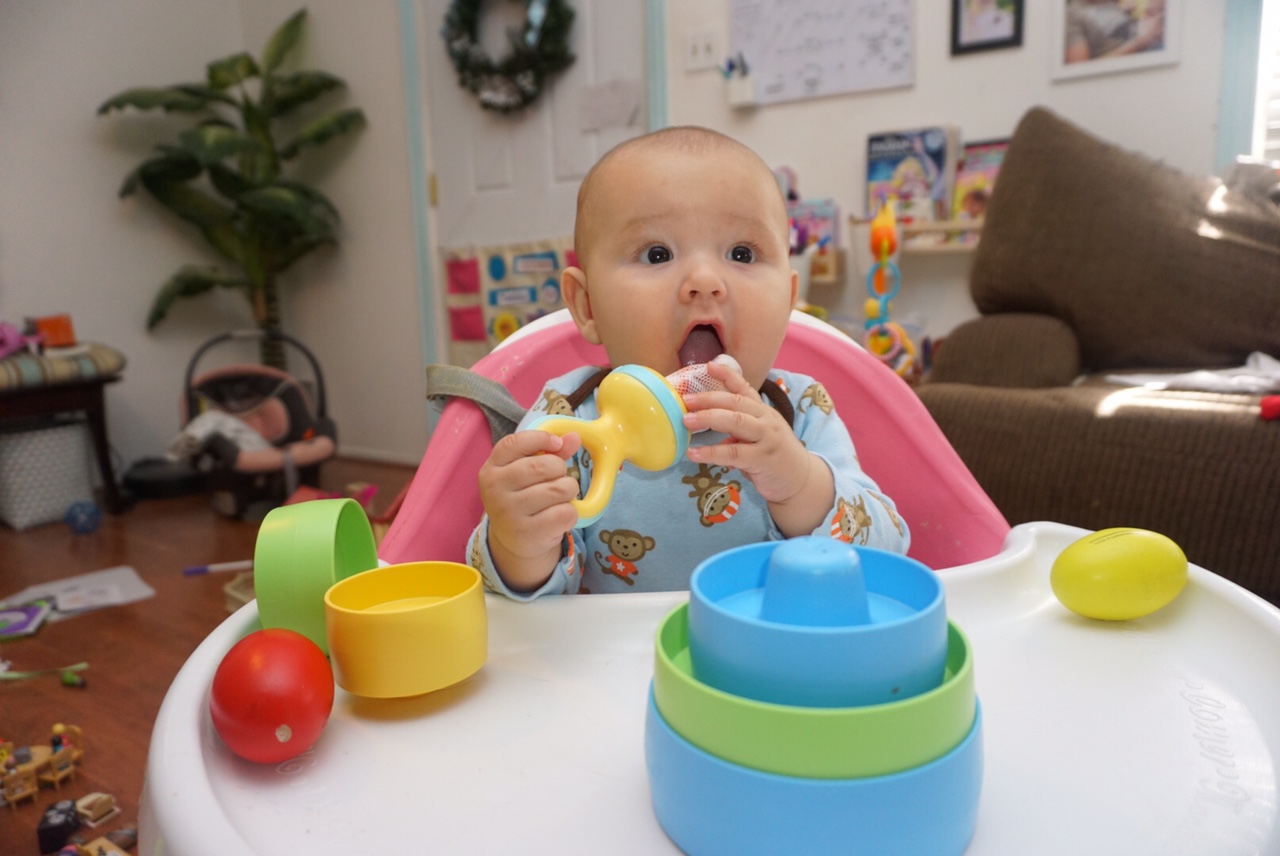 A Little Blueberry The Nibbler & Miracle Mat Nuby Review