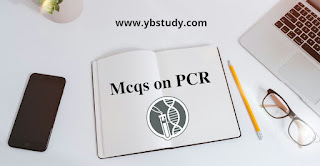 mcqs on pcr