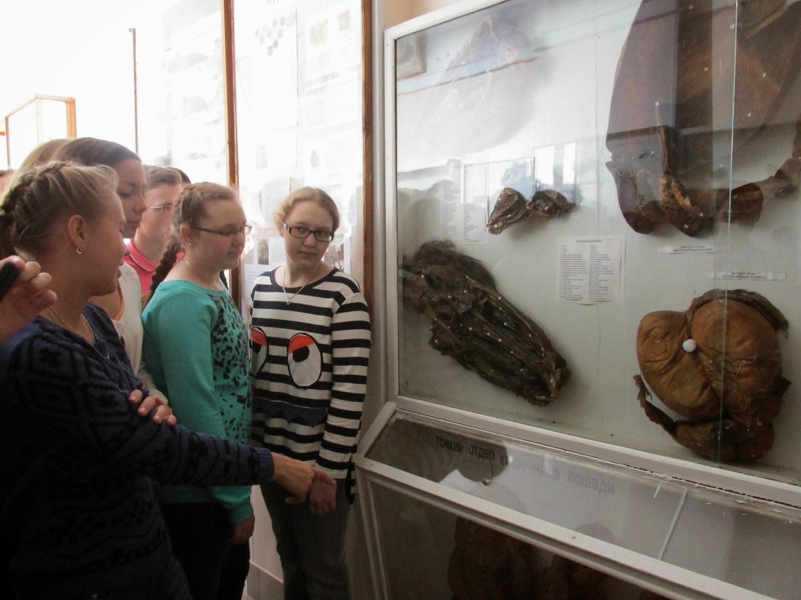 Анатомический музей самара