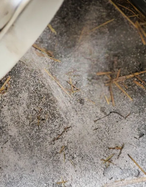 sprinkling diatomacous earth in chicken coop