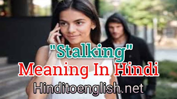 Stalking Meaning In Hindi | Stalking का Hindi मतलब क्या है?