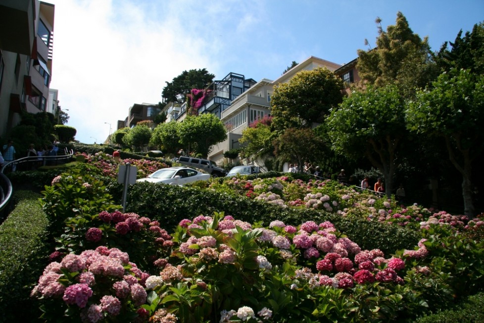 переулок был весь в садах