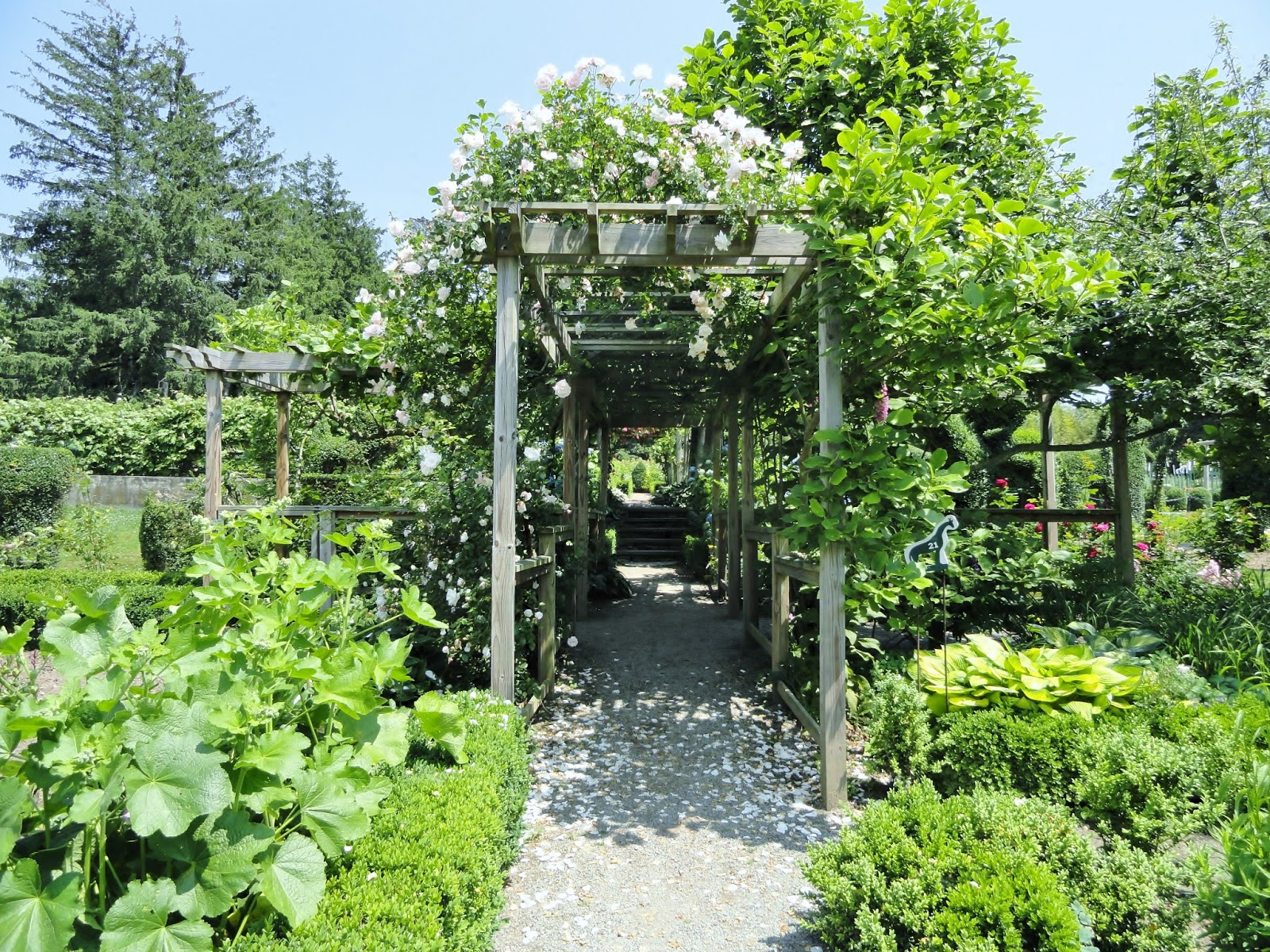Antique Homes and Lifestyle: Green Animals Topiary Garden, Portsmouth, RI