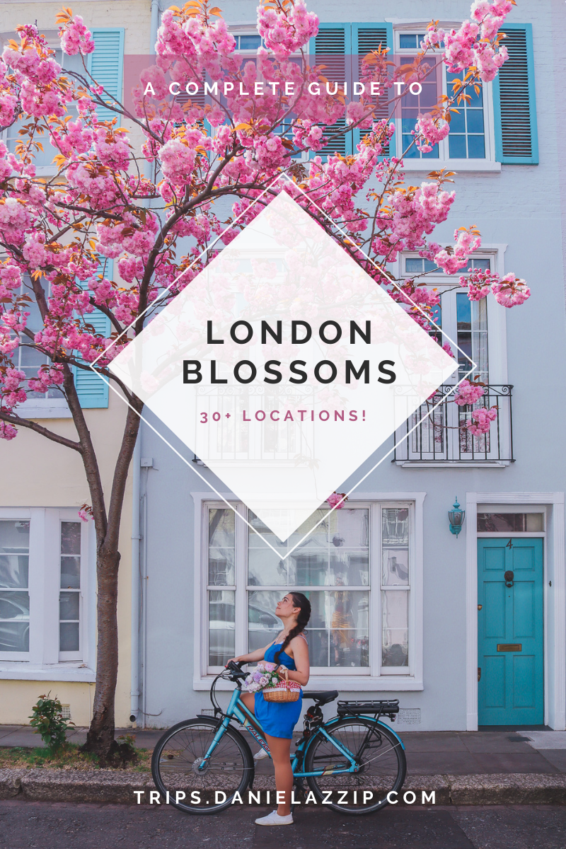 a complete guide to london blossoms