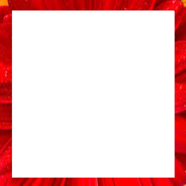 adoyal: 15 Transparent Frame Graphic Pics