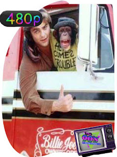 BJ and the Bear (1978-81) Temporada 1 [480p] Latino [GoogleDrive] SilvestreHD