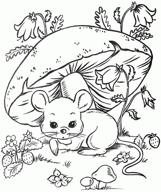 Tranh tô màu chú chuột dưới cây nấm