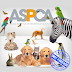 The Dirt Farmer Foundation’s CAUSE it’s FEBRUARY: ASPCA