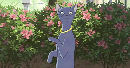 Https Encrypted Tbn0 Gstatic Com Images Q Tbn 3aand9gctciazmw8o8mswkjtehbgez6 Xifndwn5guua Usqp Cau