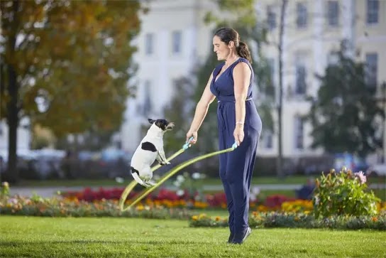 The 5: Ways to burn 100 or more calories in your home The 5: Ways to burn 100 or more calories in your home