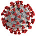 Corona virus(Covid-19):- कोरोना वायरस लक्षण, पहचान, बचाव