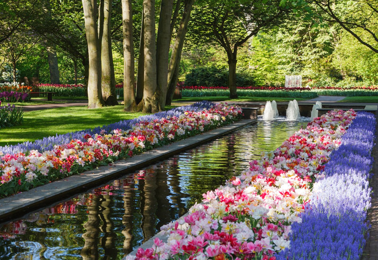 Dynamic Views: Beautiful Spring Wallpaper