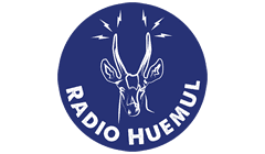 Radio Huemul 88.5 FM