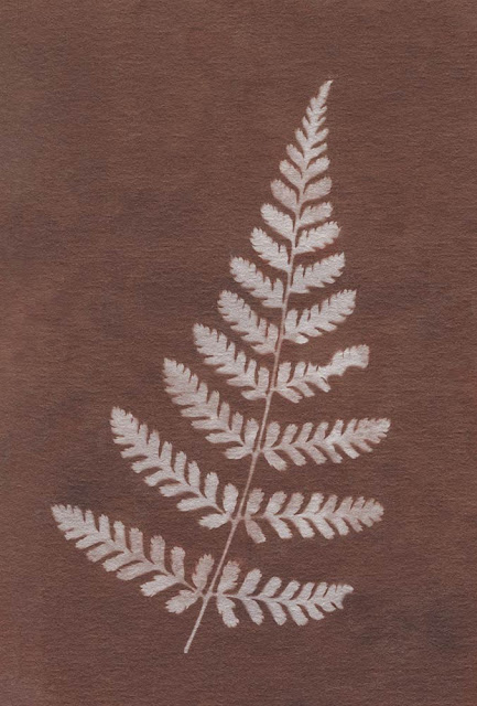 Showing a Photogenic drawing of a Fern leaf