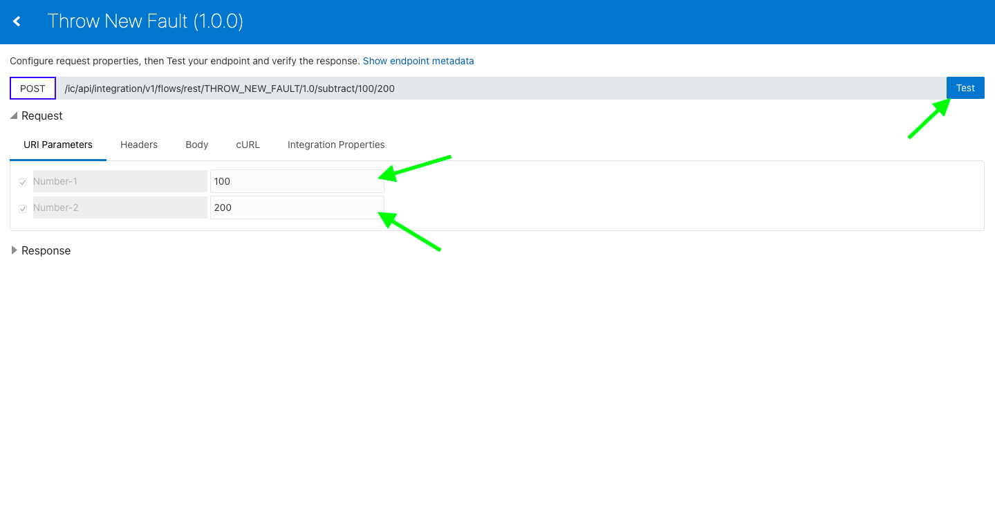 Basics of OIC Throw New Fault Action Testing