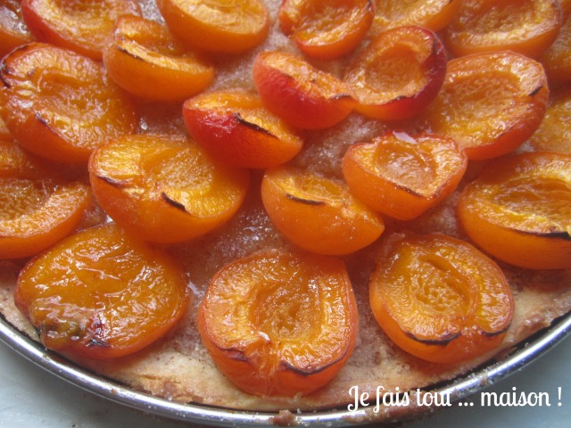 Tarte Aux Abricots Tres Facile