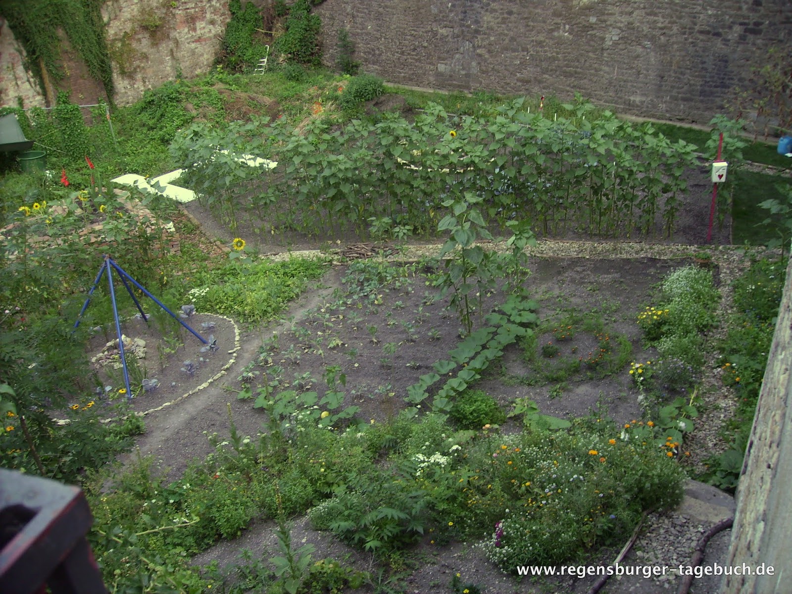 Regensburger Tagebuch Amaro Ameise der berühmte Gärtner von Regensburg
