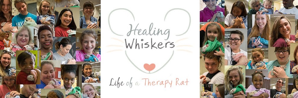 Healing Whiskers