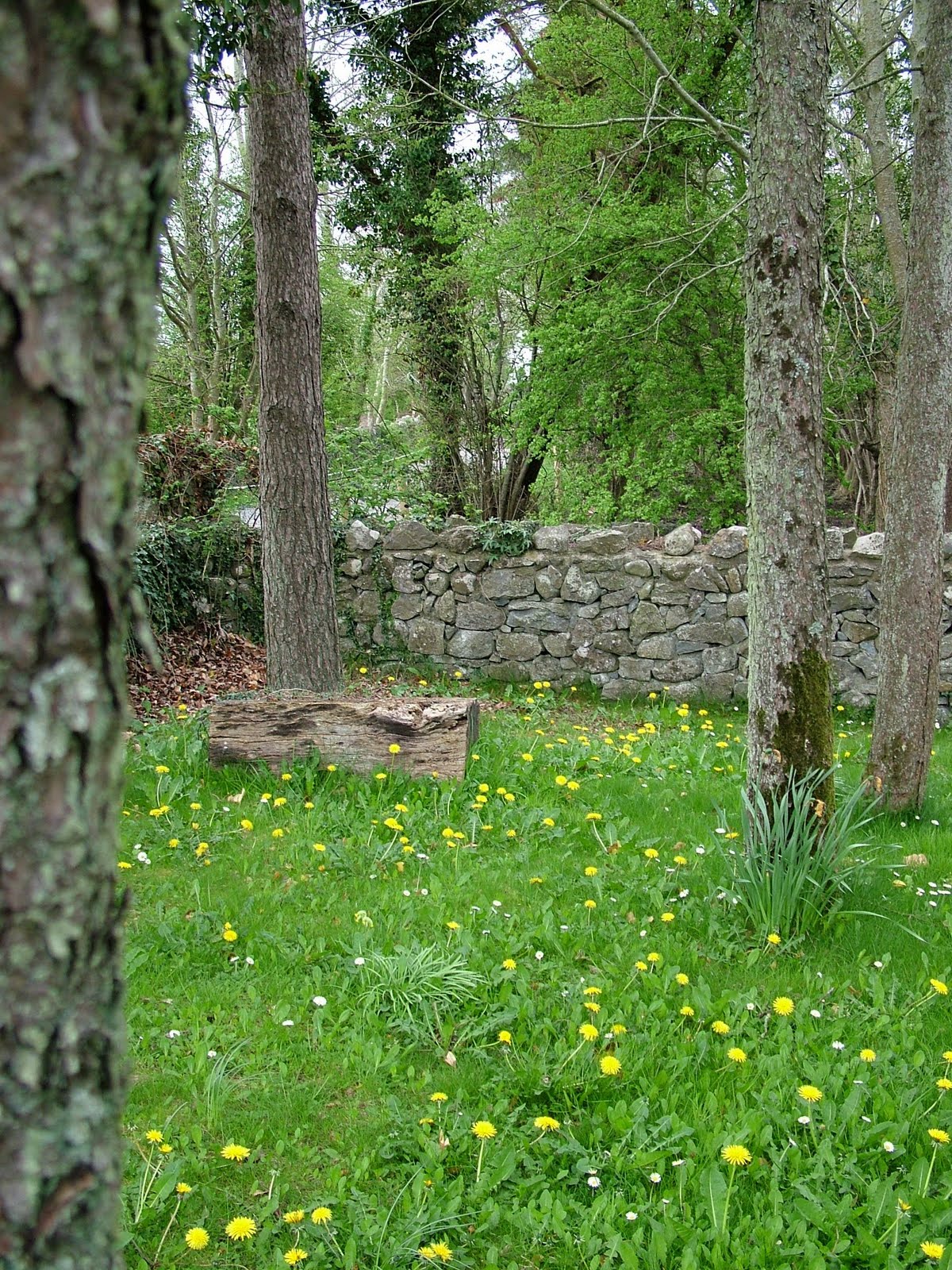 Rahan Millennium Garden