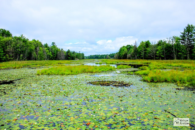 Muskoka Ontario Port Severn