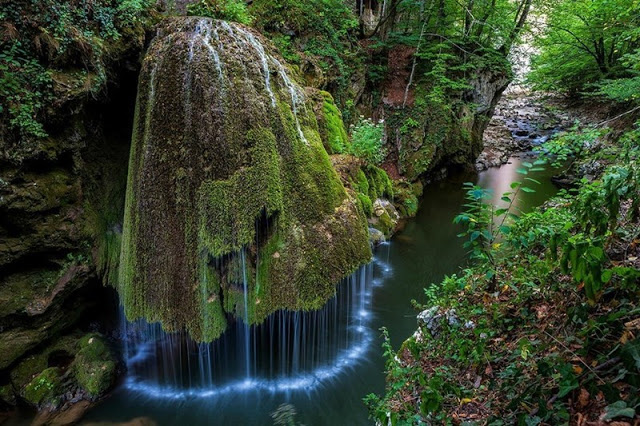 Waterfall Shaped Mushrooms