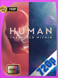 Cuerpo Humano: Un Mundo Entrañable Temporada 1 Completa (2021) [720p] Latino [GoogleDrive] PGD